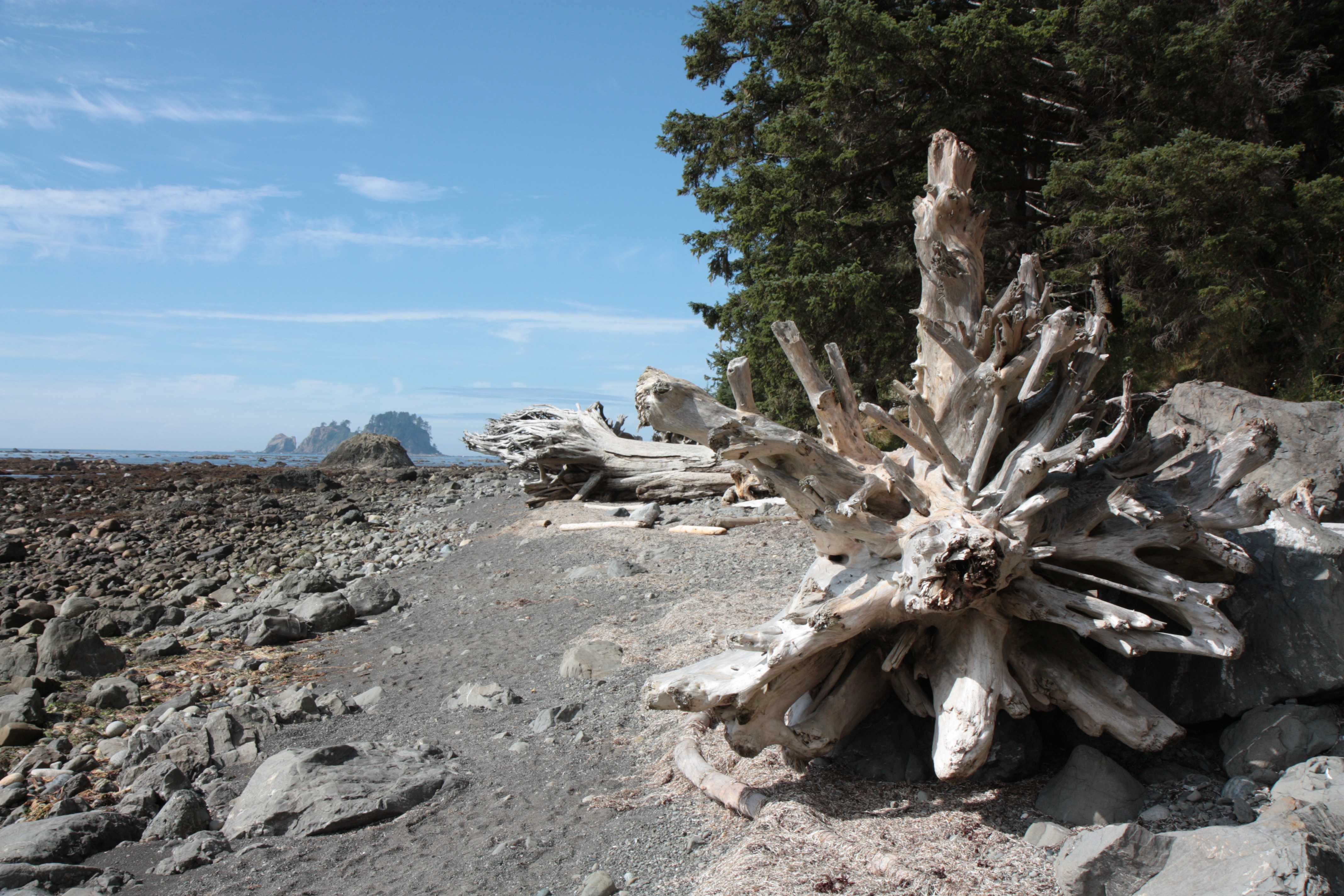 Olympic NP